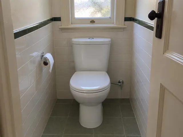 Clean white toilet in a tiled small bathroom with window and door trim in Auburn